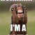 Thumb_60073_1539333894227_1561311864_1319832_1629864_n