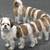 Thumb_funny-animals-67