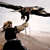 Thumb_eagle
