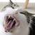 Thumb_cat_yawning_canine_teeth