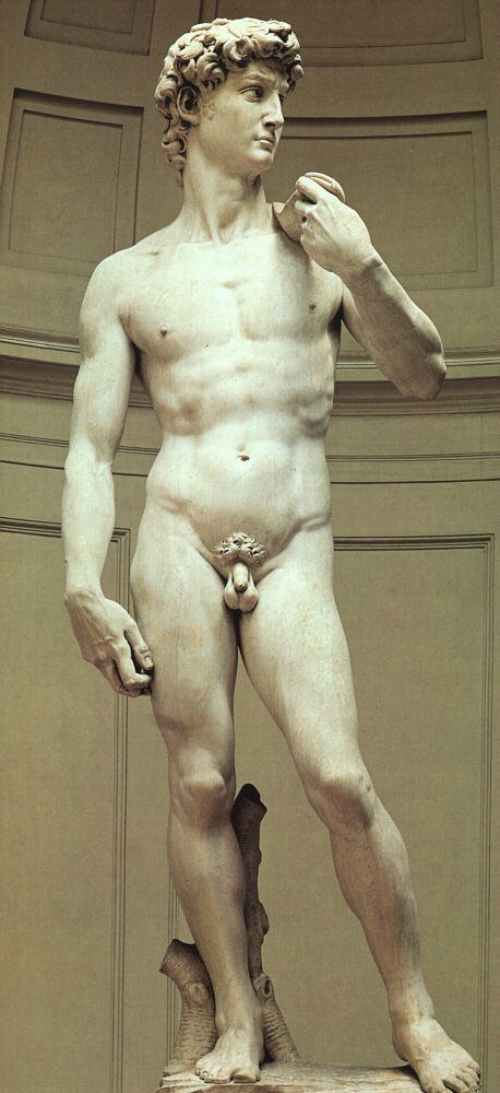 Medium_michelangelo_david
