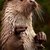 Thumb_47231_428978441851_377366401851_5526779_4337311_n