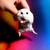 Thumb_adorable-white-mouse02