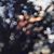 Thumb_220px-obs-235