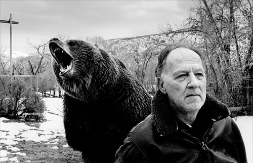 Medium_grizzly-man-2005-tou-01-g