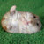 Thumb_f