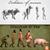 Thumb_evolution_of_men_women