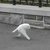 Thumb_180409_1417438935133_1807429263_796977_6841309_n