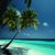 Thumb_beach7_1280x1024