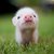 Thumb_180388_1640369647603_1187663832_31405780_5877180_n