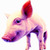 Thumb_little_piggy