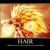 Thumb_1245124671659