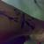Thumb_292031_2501755749564_1423064133_2807708_352066139_n