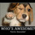 Thumb_awesome-4