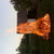 Thumb_dsc00504