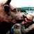 Thumb_10634_153308353248_18452288248_2498640_3116411_n