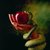 Thumb_31861_120891054607014_100000583608124_190044_1461862_n