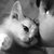 Thumb_206262_210658782280145_100000080752109_807221_7282862_n