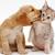 Thumb_3333