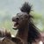 Thumb_180130_145313062196055_144013098992718_259423_340302_n