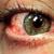 Thumb_medium_576096_3790134824823_40538313_n