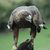 Thumb_658px-goldeneagle-nova