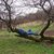 Thumb_n1324253152_338011_3151358