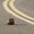 Thumb_mrmot-highway_1615710i