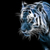 Thumb_tiger-fractal-in-blue