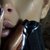 Thumb_180017_166303063419905_100001206375162_410048_7510701_n
