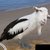 Thumb_13857_1070385057101_1750378180_134267_3956402_n