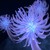 Thumb_3d-graphics__000075_1