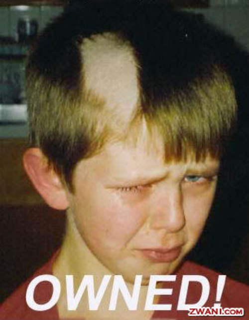 Medium_funny-pictures14