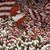 Thumb_crvena_zvezda_fans_2_1024x768_1_