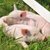 Thumb_392745_2610794041116_85250037_a