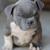 Thumb_30365_285564941564051_12185385_n
