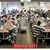 Thumb_zabela_2011