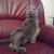 Thumb_08012011075