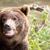 Thumb_400-04674055w