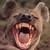 Thumb_gdpit_com_96080809_226