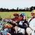 Thumb_easyrider