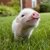 Thumb_225626_241268442560392_100000317135294_940283_2835338_n