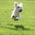 Thumb_188882_196664317018574_100000250226276_692333_5887258_n
