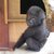 Thumb_daj_plus_ne_budi__krtica