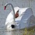 Thumb_283