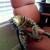 Thumb_292194_10150638884931840_606426178_n