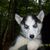 Thumb_306439_2043967706560_1465399899_31687641_2114081773_n
