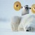 Thumb_penguin-polar