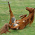 Thumb_59074_funny_302