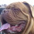 Thumb_dsc03249
